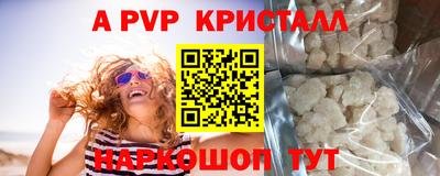 шишки Лесосибирск