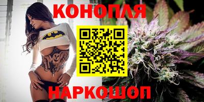 шишки Лесосибирск