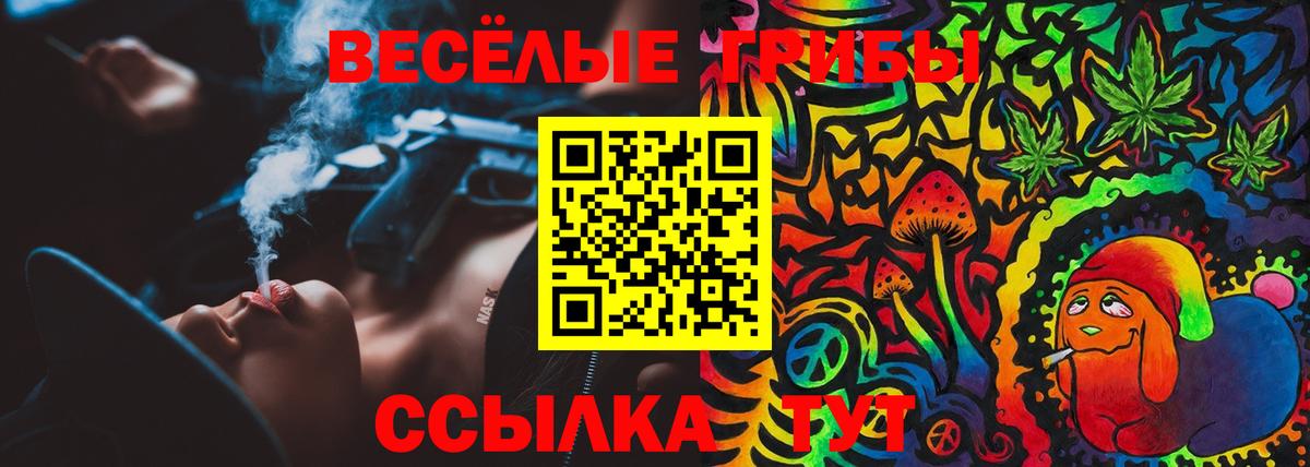 Псилоцибиновые грибы Cubensis Бузулук