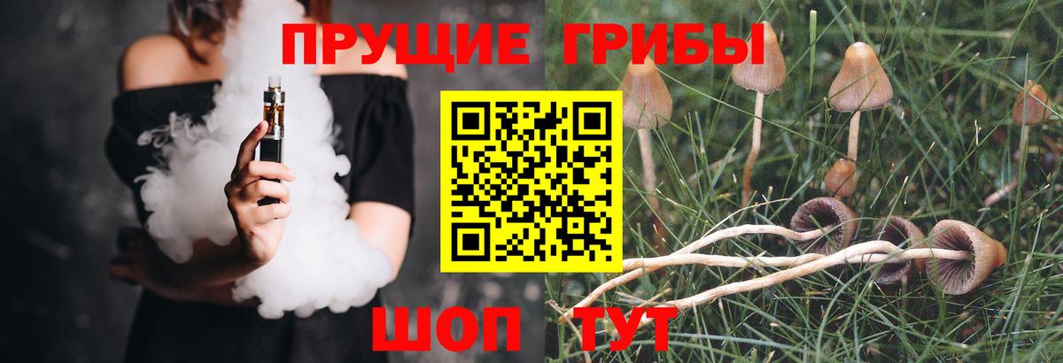 Псилоцибиновые грибы Psilocybe  Вход с VPN  Бузулук 